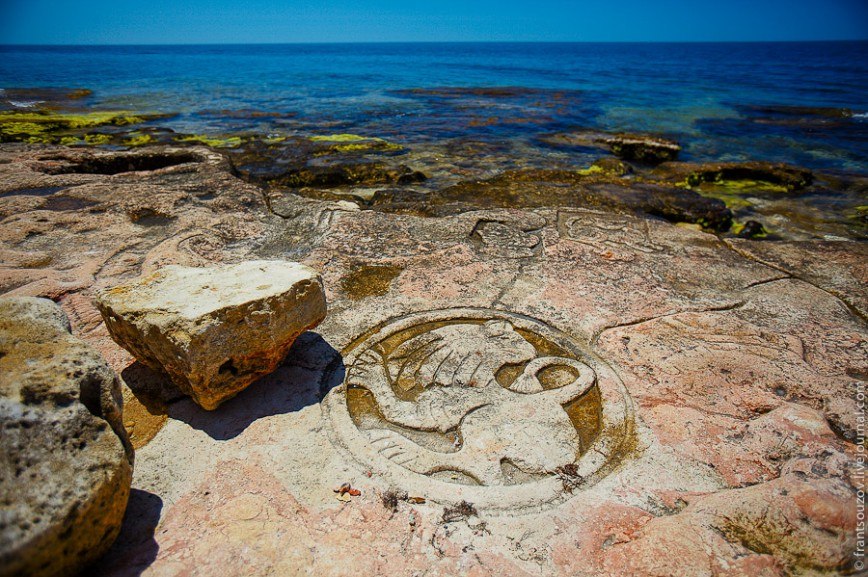 Крым море лето